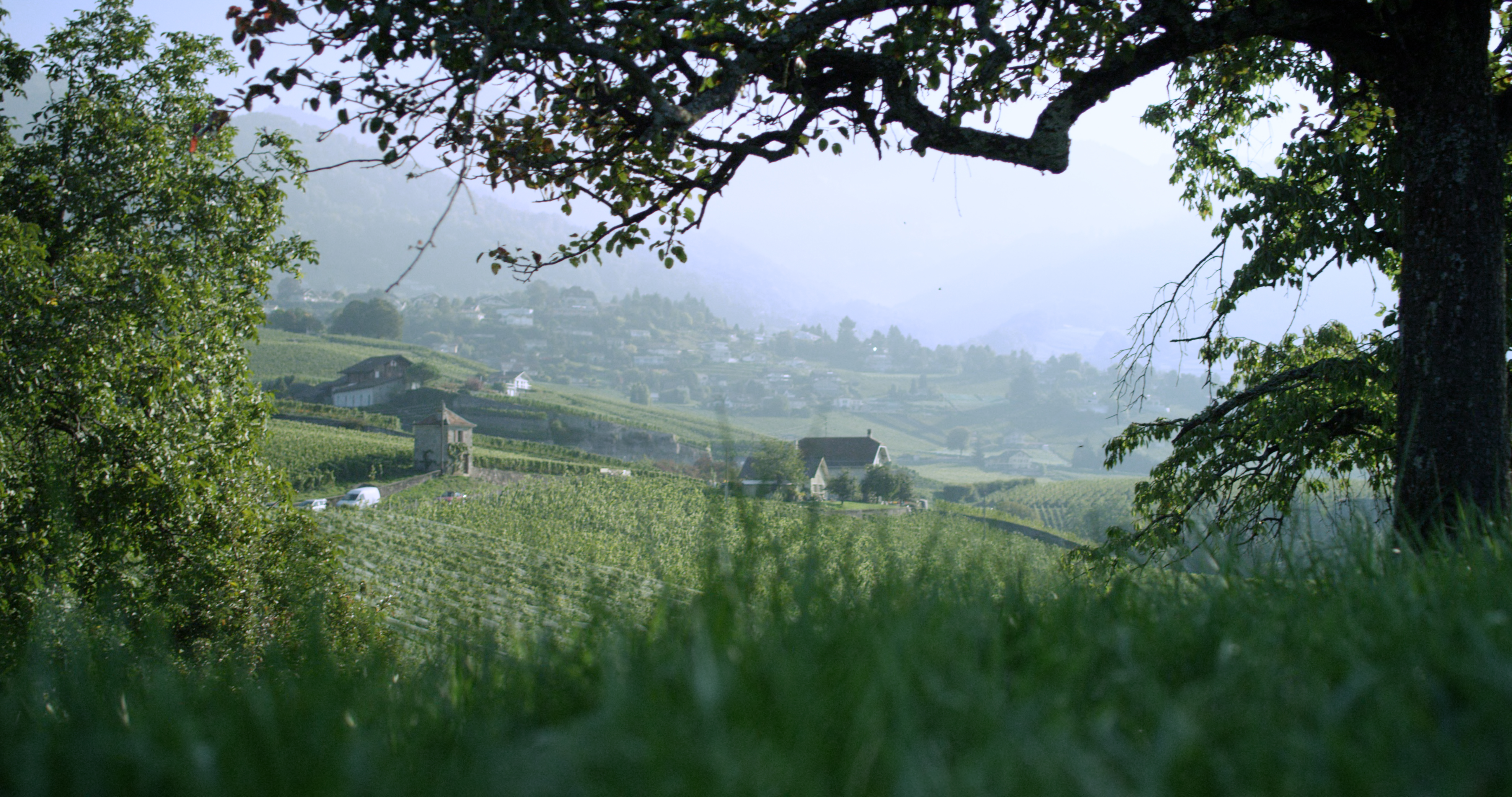 La Tour-de-Peilz débloque 890'000 francs pour assainir le chemin Adolphe Burnat